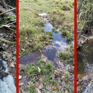 MP cobra R$ 1 milhão de frigorífico após novos despejos de resíduos em rio de MT