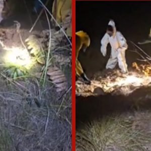 Adolescente desaparecida há 8 dias é encontrada enterrada com corda no pescoço e mãos amarradas em MT