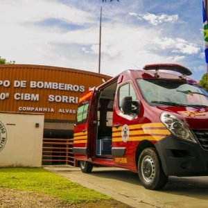 Trabalhador morre após ser atingido por tora de madeira em MT