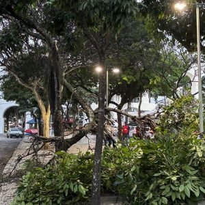 Ventania: moradores do Rio acordam sob alerta; saiba o que fazer