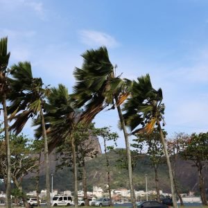 Defesa Civil alerta para ventos fortes na cidade do Rio