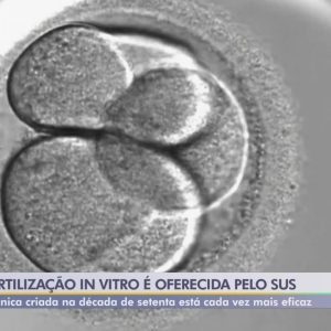 Mulher na Grécia é mãe aos 54 anos com embrião congelado há 22 anos após perder filho