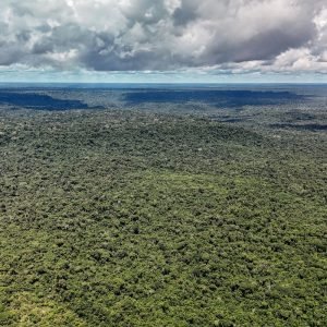 Fazenda autoriza crédito de US$ 1 bilhão do BID para Eco Invest Brasil