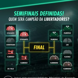 SEMIFINAIS DEFINIDAS! 

Quem vai levantar a taça da Libertadores? 

Analise toda…