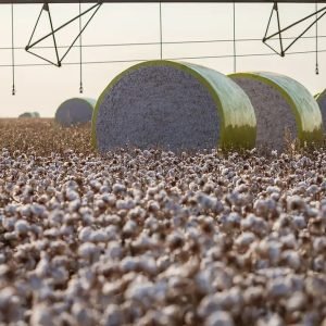 Mudança no mapa que tirou Sorriso do topo da produção agrícola