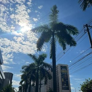 Cuiabá e 66 municípios têm alerta vermelho para onda de calor com máximas de 41ºC | Única News