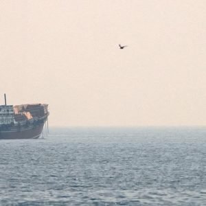 Países do Golfo Pérsico cancelam reunião sobre reabertura de Ormuz