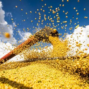 Produção agrícola brasileira superou R$ 927 bilhões em 2025