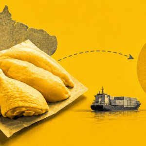 União Europeia aprova qualidade da carne de aves e do mel do Brasil