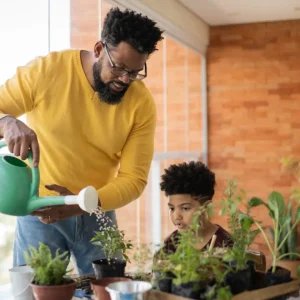 Plantas: como escolher a melhor para cada ambiente da casa