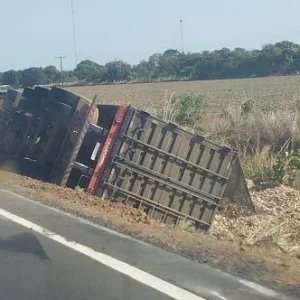 Carreta carregada com cavaco sai da pista e tomba na BR-163; motorista escapa sem ferimentos em Nova Mutum
