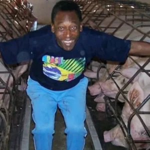 Longe dos gramados, Pelé viveu quase 40 anos como fazendeiro no interior de SP: com leitaria, criação de porcos e tanques de peixe, ele reinou em refúgio de 700 hectares
