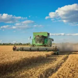 PAM 2025: produção agrícola dos municípios bate recorde de R$ 927,2 bilhões; confira ranking das cidades