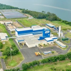 Cerveja com proteína? JBS cria negócio para desenvolver alimentos proteicos