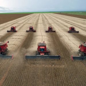 MT concentra cinco das 10 cidades com maior produção agrícola do Brasil – Muvuca Popular