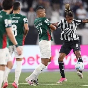 Palmeiras empata com Botafogo e perde a ponta do Brasileiro para o Flamengo