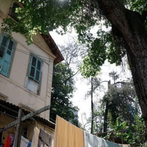 Quilombo urbano na zona sul do Rio guarda lições de resistência