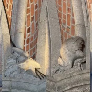 Tatu, tucano e até sapo; por que a Catedral da Sé em São Paulo possui esculturas de animais escondidas em toda a sua estrutura?