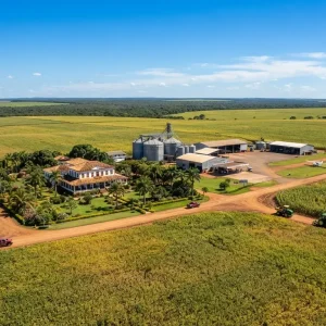 Justiça condiciona venda de fazendas do Grupo Bergamasco em Mato Grosso a esclarecimentos sobre situação fiscal