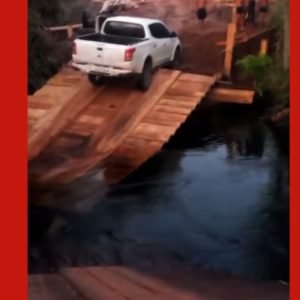 Ponte de madeira desaba em comunidade e afeta cerca de 400 indígenas em MT; vídeo