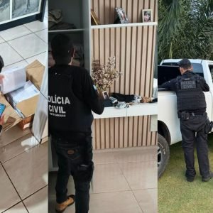 Operação mira esquema de sonegação de impostos na venda de gado entre MT e RO