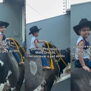 Vídeo: menino de 3 anos chega à escola de MT montado em boi de 600 kg