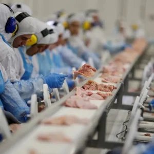 Mercado Europeu é estratégico e sem substituição para carne, diz Abiec