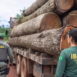 Mato Grosso aposta em tecnologia para proteger mercado bilionário da madeira legal
