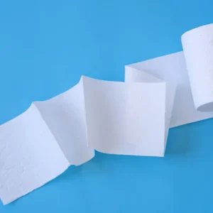 Colocar um rolo de papel higiênico na geladeira: para que serve e por que recomendam fazer isso