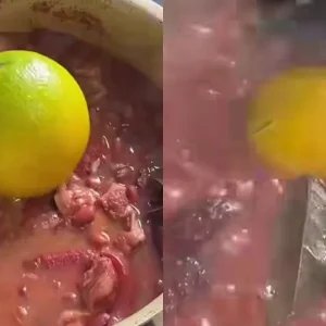 Feijoada de sábado: colocar laranja inteira não é tempero e nem simpatia; entenda suas utilidades