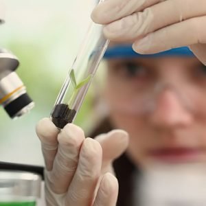 Prêmio para mulheres e meninas cientistas abre inscrições até outubro