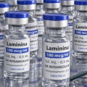 Testes clínicos fase 1 da polilaminina começam este mês