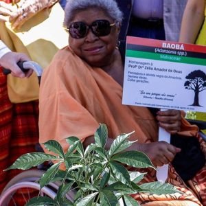 Morre Zélia Amador de Deus, referência da luta antirracista no Pará| Agência Brasil
