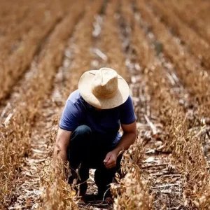 Agro pode estar deixando pior fase para trás, diz gestora