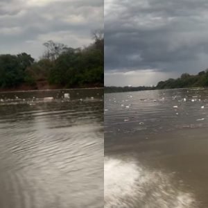Vídeo: chuva intensa arrasta lixo das ruas e deixa Rio Cuiabá tomado por resíduos