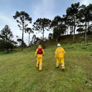 Forças de segurança ampliam buscas por helicóptero desaparecido com cantor Rick em SC