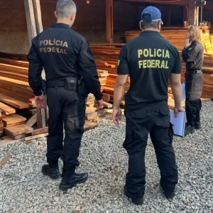 PF faz operação contra grupo investigado por comércio ilegal de madeira nativa
