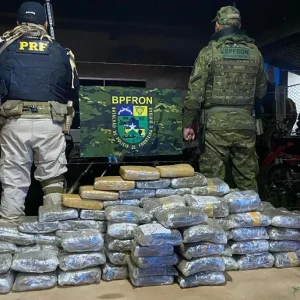 Operação apreende 103,9 kg de skunk avaliados em R$ 1,39 milhão em distrito de Porto Velho