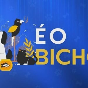 Várzea Grande (MT) realiza campanha de vacinação antirrábica neste sábado (17)