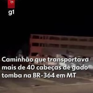 Caminhão que transportava mais de 40 cabeças de gado tomba na BR-364 em MT
