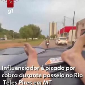 Influenciador é picado por cobra durante passeio de lancha no Rio Teles Pires em MT