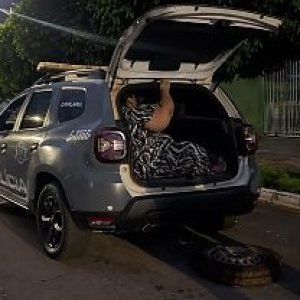 Cavalaria da PM detém pela 3ª vez mulher com mandado de prisão em Nova Mutum/MT; Veja vídeo | Power Mix