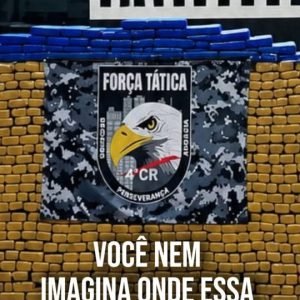 1,3 TONELADA DE DROGAS FORA DAS RUAS 

A Força Tática do 4º Comando Regional, em…
