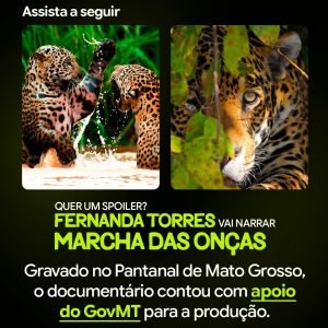 O PANTANAL DE MATO GROSSO VAI BRILHAR NA NETFLIXCom apoio do GovMT, o docume…