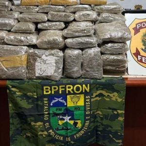 PF apreende 100 kg de skunk e prende dois homens em RO | Tudo Rondônia