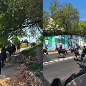 cavalos da PM reforçam policiamento em Cuiabá até 30 de outubro
