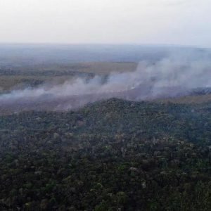 Incêndio na APA Alter do Chão (PA) foi controlado, diz prefeitura