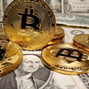 Site oferece criptomoedas por posts de apoio a Flávio Bolsonaro