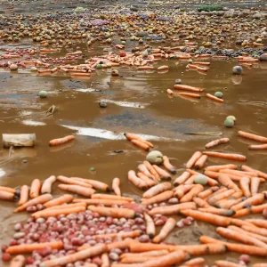 Chuvas provocam alagamentos e deslizamentos pelo interior paulista