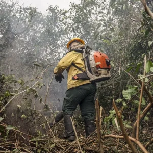 Incêndios no Amazonas podem ter origem em ação criminosa